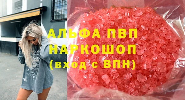 сатива Иннополис