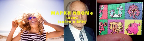сатива Иннополис