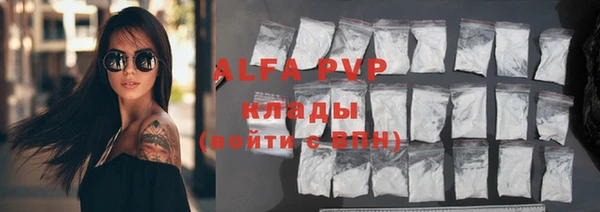 сатива Иннополис
