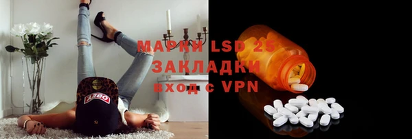 сатива Иннополис
