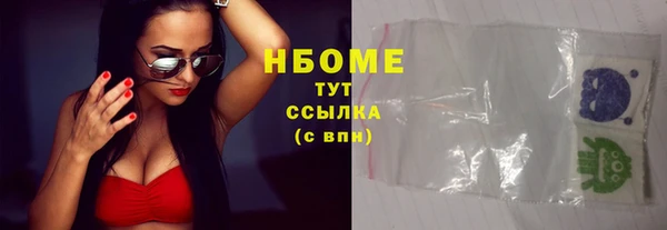 сатива Иннополис