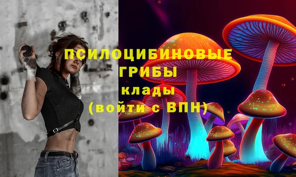 кокаин колумбия Инсар