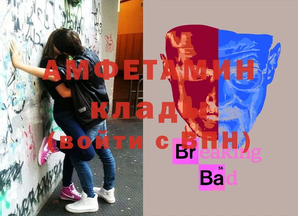 сатива Иннополис