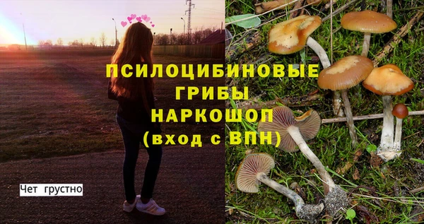 таблы Инта