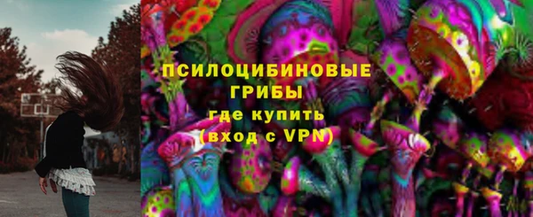 таблы Инта