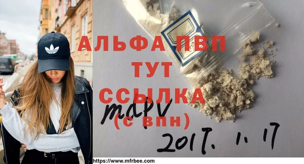сатива Иннополис