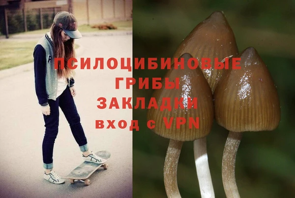 сатива Иннополис