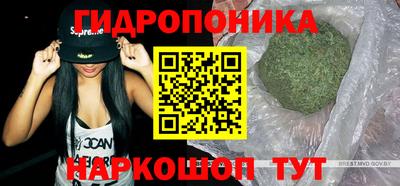 jwh Брянск