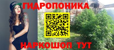 mix Боровичи