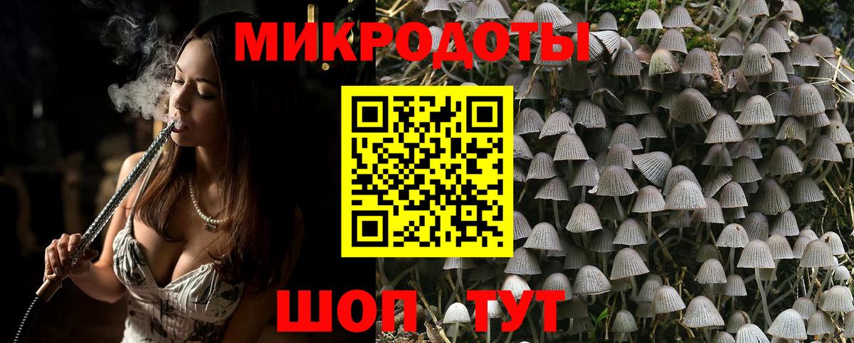 Канск  Псилоцибиновые грибы GOLDEN TEACHER  где купить наркоту  Вход с VPN  Галлюциногенные грибы Magic Shrooms 